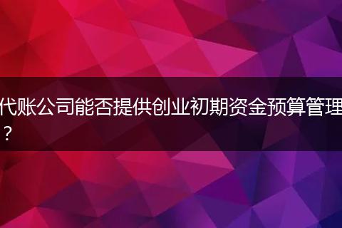 代账公司能否提供创业初期资金预算管理？