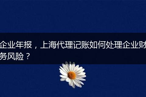 企业年报，上海代理记账如何处理企业财务风险？