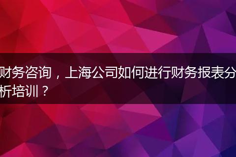 财务咨询，上海公司如何进行财务报表分析培训？