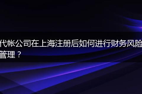代帐公司在上海注册后如何进行财务风险管理？