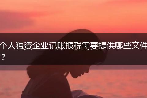 个人独资企业记账报税需要提供哪些文件？