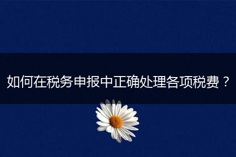 如何在税务申报中正确处理各项税费？