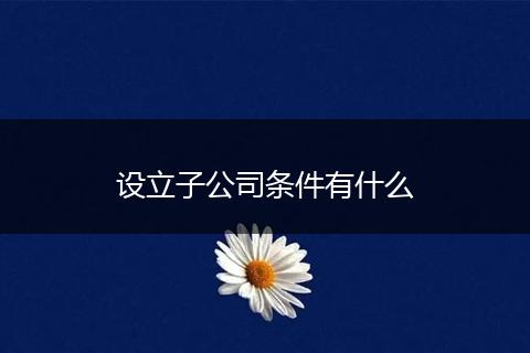 设立子公司条件有什么