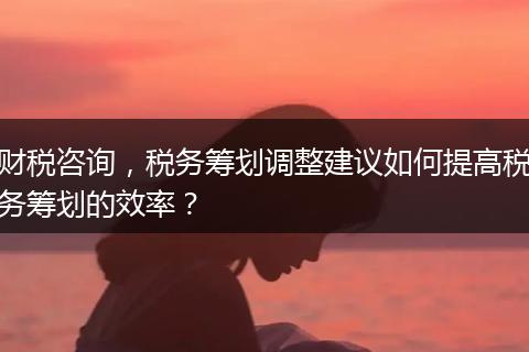 财税咨询，税务筹划调整建议如何提高税务筹划的效率？