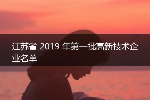 江苏省 2019 年第一批高新技术企业名单