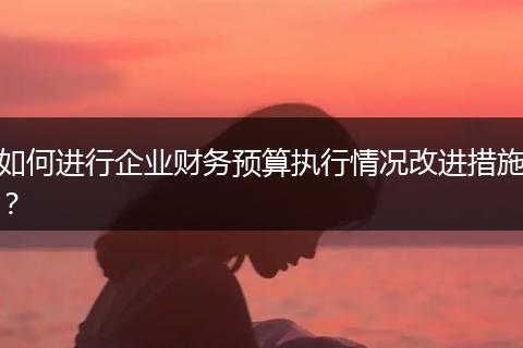 如何进行企业财务预算执行情况改进措施？