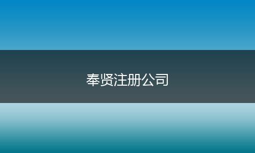 奉贤注册公司