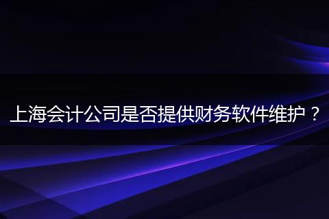 上海会计公司是否提供财务软件维护？
