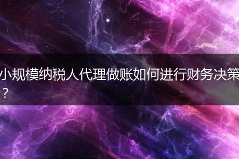 小规模纳税人代理做账如何进行财务决策？