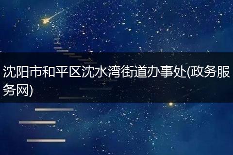 沈阳市和平区沈水湾街道办事处(政务服务网)