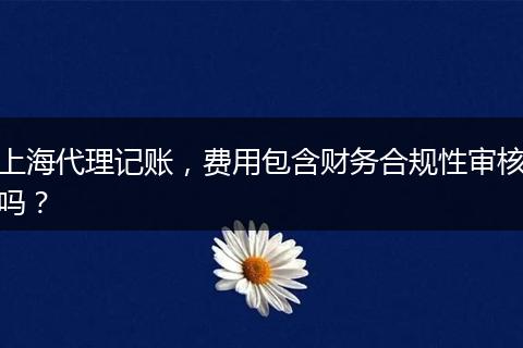 上海代理记账，费用包含财务合规性审核吗？