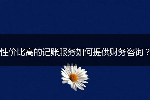 性价比高的记账服务如何提供财务咨询？