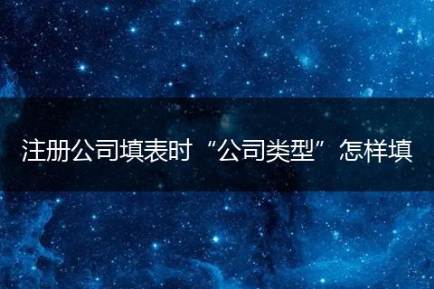 注册公司填表时“公司类型”怎样填