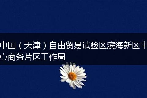 中国（天津）自由贸易试验区滨海新区中心商务片区工作局