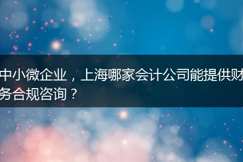 中小微企业，上海哪家会计公司能提供财务合规咨询？