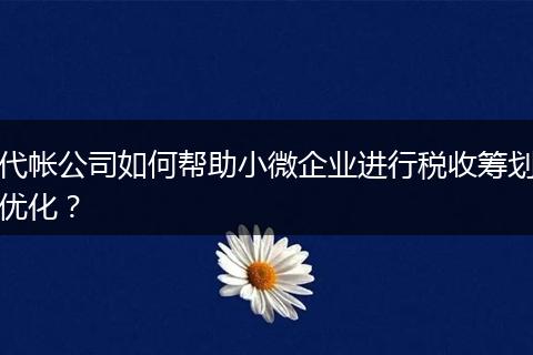 代帐公司如何帮助小微企业进行税收筹划优化？