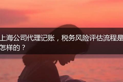 上海公司代理记账，税务风险评估流程是怎样的？
