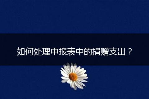 如何处理申报表中的捐赠支出？