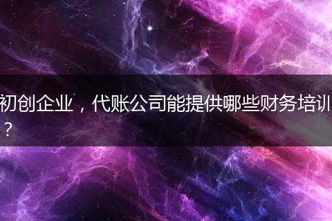 初创企业，代账公司能提供哪些财务培训？