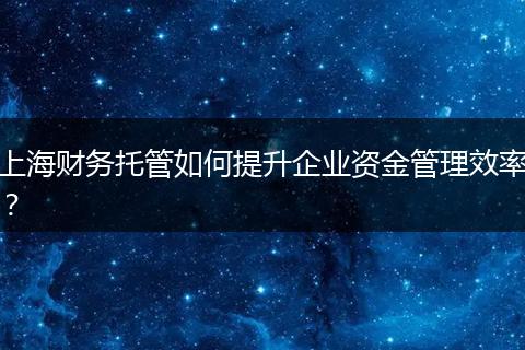 上海财务托管如何提升企业资金管理效率？
