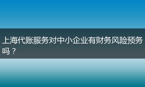 上海代账服务对中小企业有财务风险预务吗？