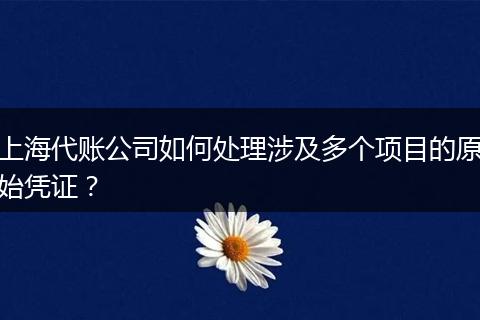 上海代账公司如何处理涉及多个项目的原始凭证？