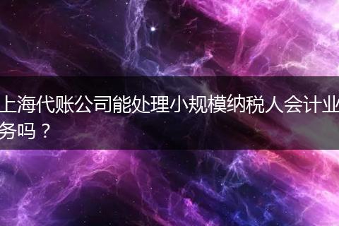 上海代账公司能处理小规模纳税人会计业务吗？