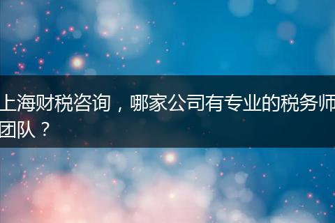 上海财税咨询，哪家公司有专业的税务师团队？