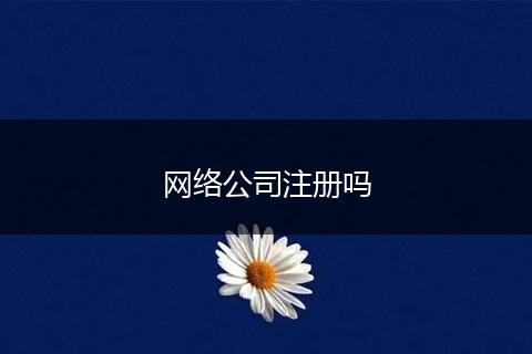 网络公司注册吗