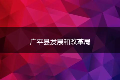 广平县发展和改革局