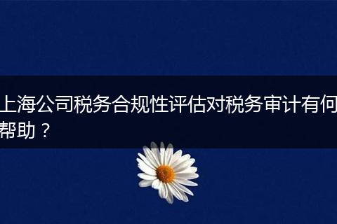上海公司税务合规性评估对税务审计有何帮助？