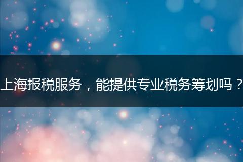 上海报税服务，能提供专业税务筹划吗？
