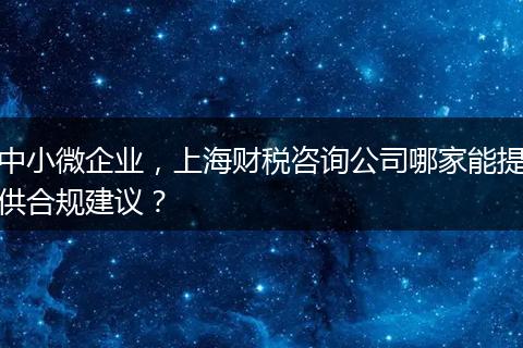 中小微企业，上海财税咨询公司哪家能提供合规建议？