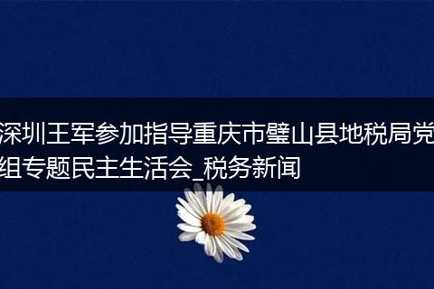 深圳王军参加指导重庆市璧山县地税局党组专题民主生活会_税务新闻