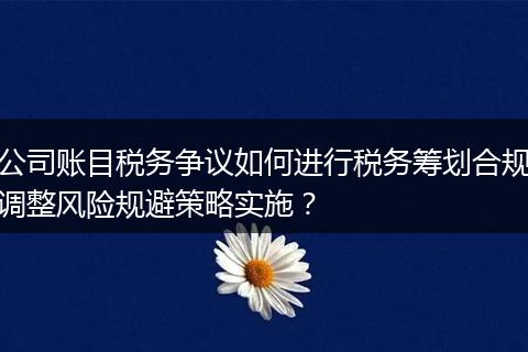 公司账目税务争议如何进行税务筹划合规调整风险规避策略实施？