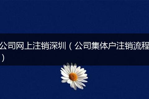 公司网上注销深圳（公司集体户注销流程）