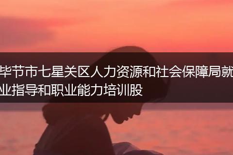 毕节市七星关区人力资源和社会保障局就业指导和职业能力培训股