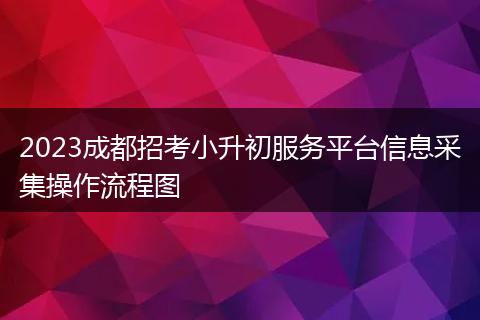2023成都招考小升初服务平台信息采集操作流程图