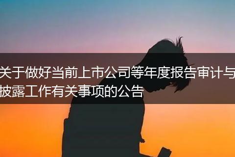 关于做好当前上市公司等年度报告审计与披露工作有关事项的公告