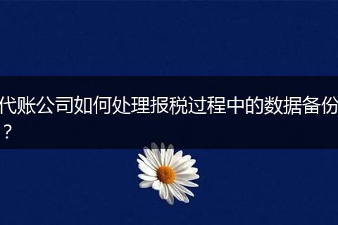 代账公司如何处理报税过程中的数据备份？