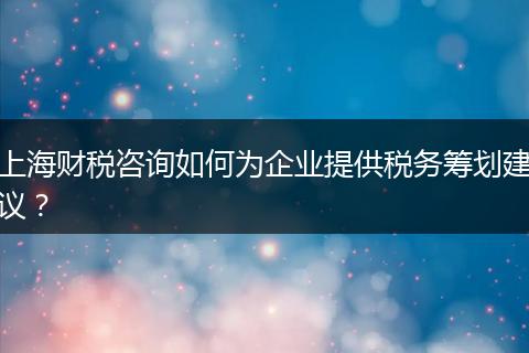 上海财税咨询如何为企业提供税务筹划建议？