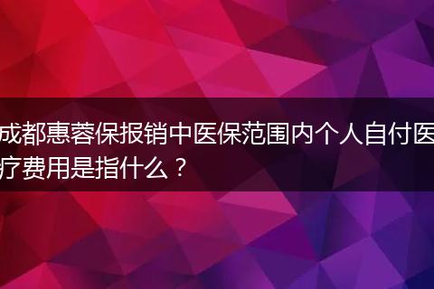 成都惠蓉保报销中医保范围内个人自付医疗费用是指什么？