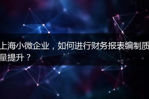 上海小微企业，如何进行财务报表编制质量提升？