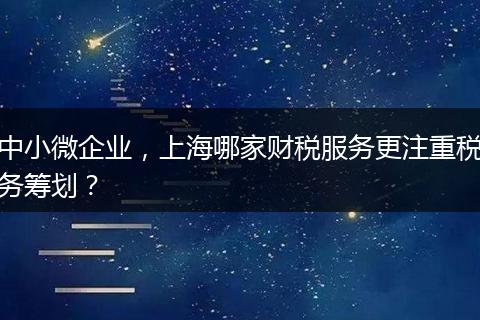中小微企业，上海哪家财税服务更注重税务筹划？