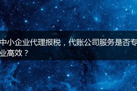 中小企业代理报税，代账公司服务是否专业高效？