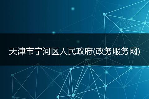 天津市宁河区人民政府(政务服务网)