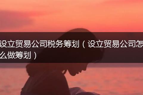 设立贸易公司税务筹划（设立贸易公司怎么做筹划）