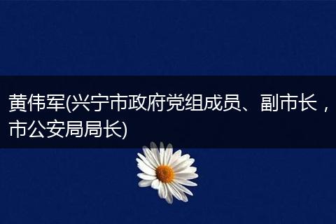 黄伟军(兴宁市政府党组成员、副市长，市公安局局长)