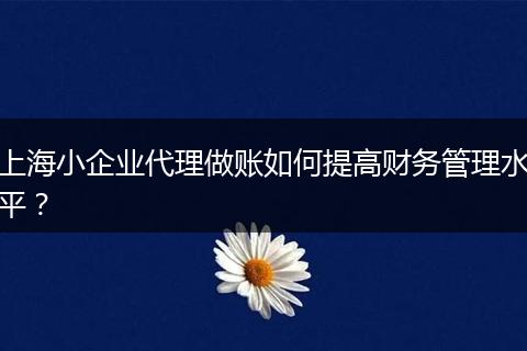 上海小企业代理做账如何提高财务管理水平？