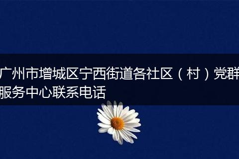 广州市增城区宁西街道各社区（村）党群服务中心联系电话
